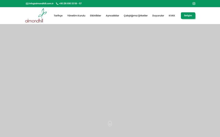 Screenshot of almondhill.com.tr