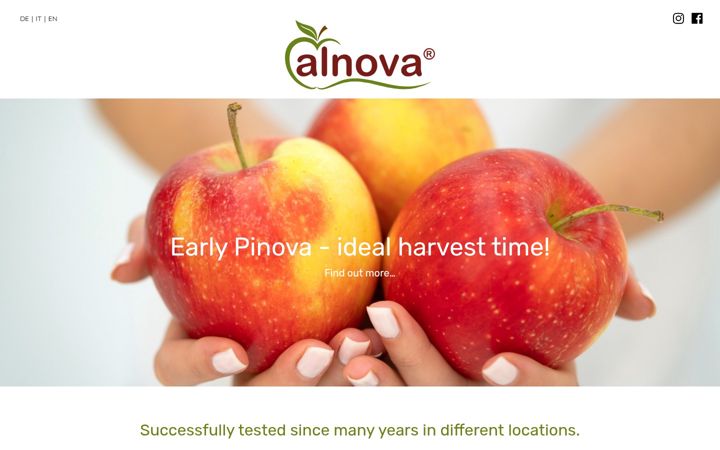 Zrzut ekranu alnova-apple.com