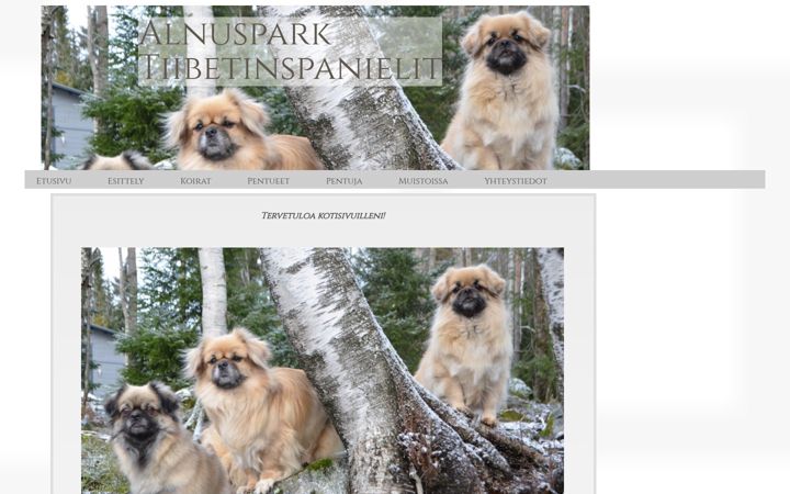 Screenshot of alnuspark.fi