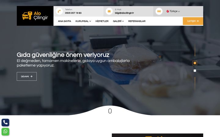Screenshot of alocilingir.tr
