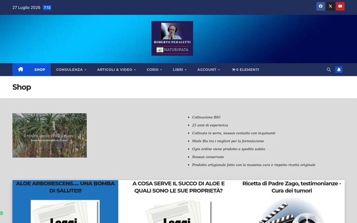 Screenshot of aloepadreromanozago.com