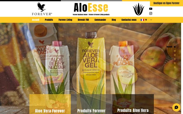 Snímek obrazovky aloesse.com