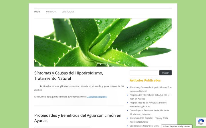 Képernyőkép: aloeycalidaddevida.com