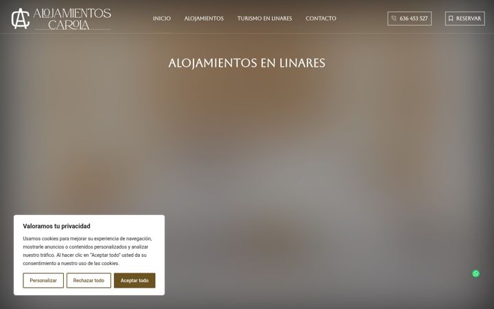 Ekraanipilt saidist alojamientoscarola.es