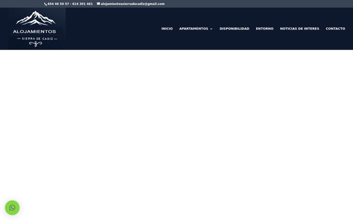 Screenshot von alojamientossierradecadiz.com