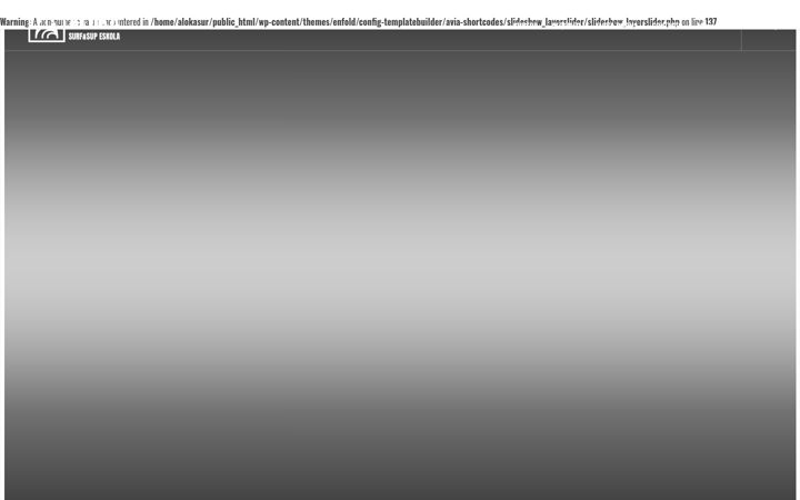 Screenshot of alokasurf.com