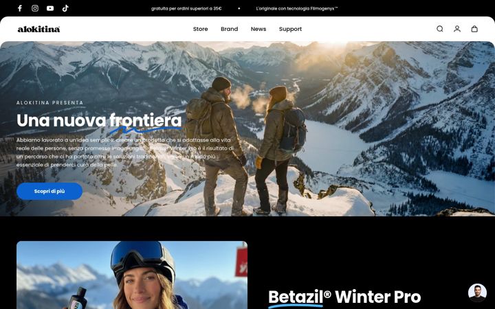 Screenshot of alokitina.com