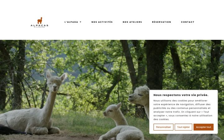 Screenshot van alpacasdelasuavidad.fr