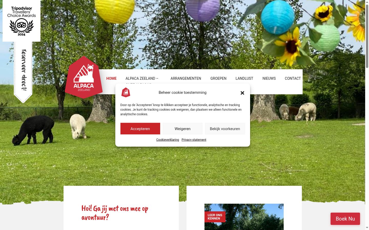 Screenshot of the consent banner shown before any interaction
