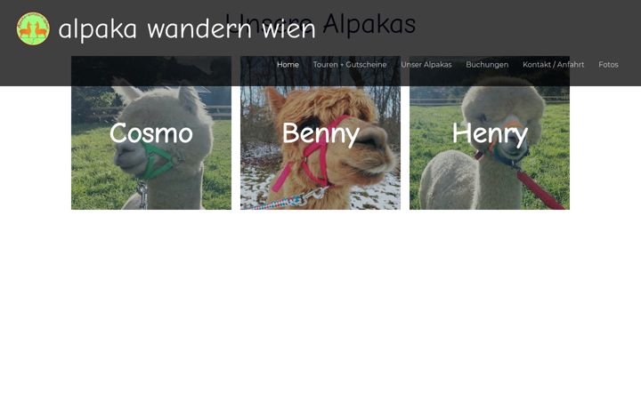 Screenshot of alpaka-wandern-wien.at