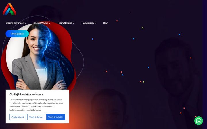 Screenshot von alpayalar.com