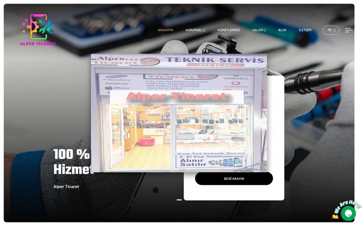 Screenshot di alperticaret.com