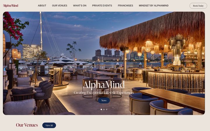 Captură de ecran a alphamind-group.com