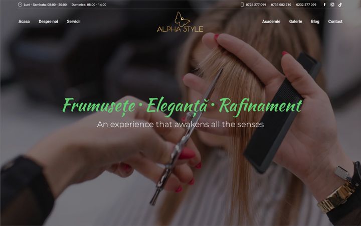 Screenshot of alphastyle.ro