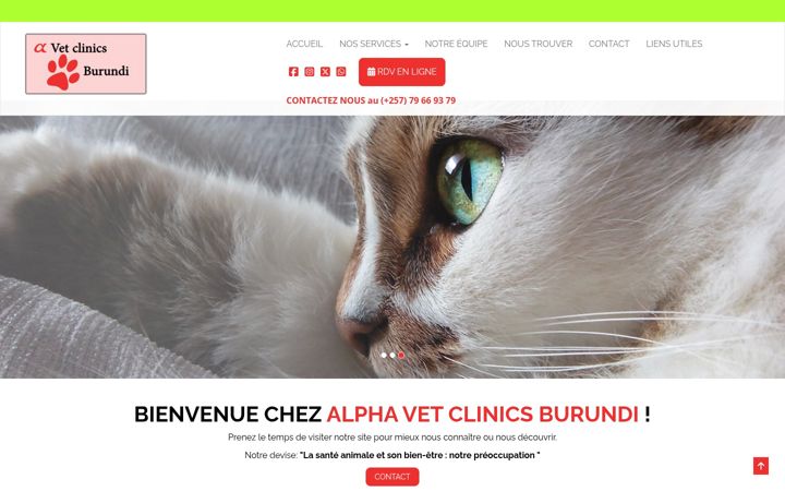 Screenshot of alphavetclinicsburundi.fr