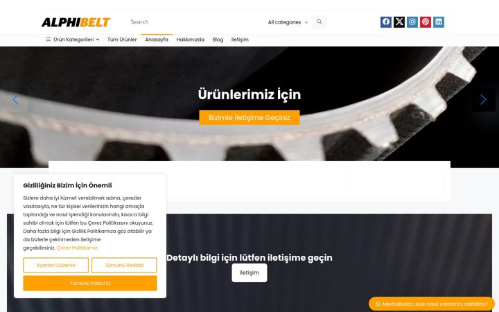 Screenshot of alphibelt.com