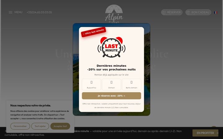 Screenshot of alpin-dhome.fr