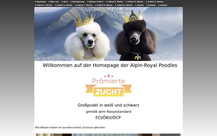 Screenshot of alpin-royalpoodles.at