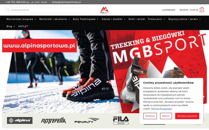 Screenshot of alpinasportowa.pl