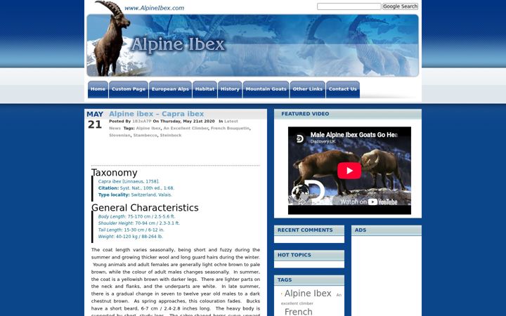 Screenshot of alpineibex.com