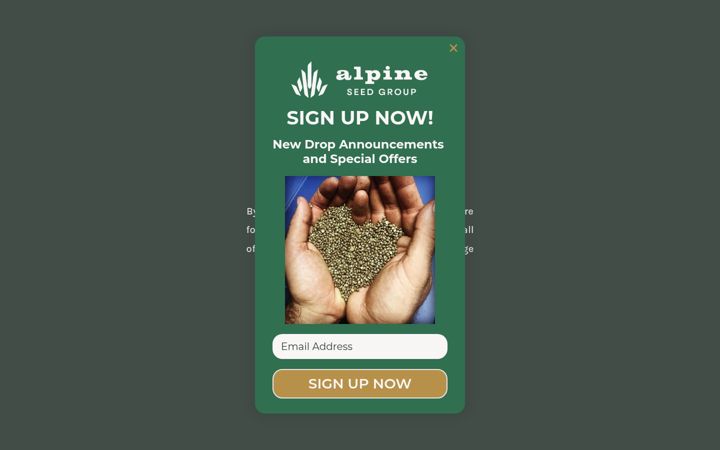 Screenshot of alpineseedgroup.com