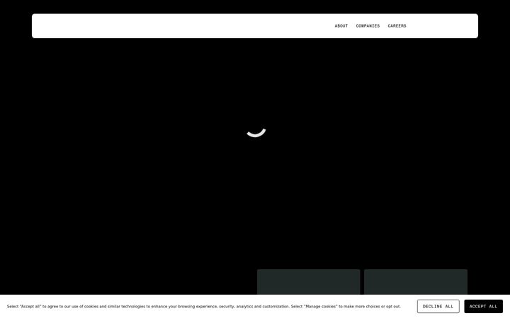 Screenshot of alpinesg.com