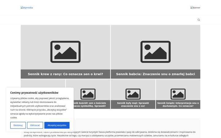 Screenshot of alpinistka.pl