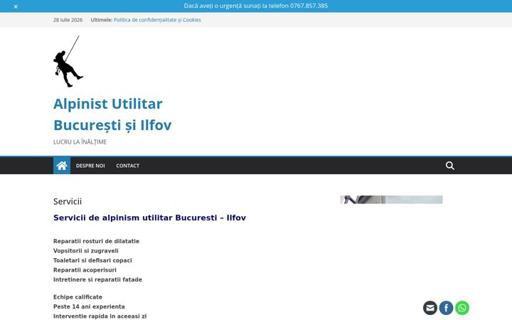 Snímek obrazovky alpinistutilitarbucuresti.ro