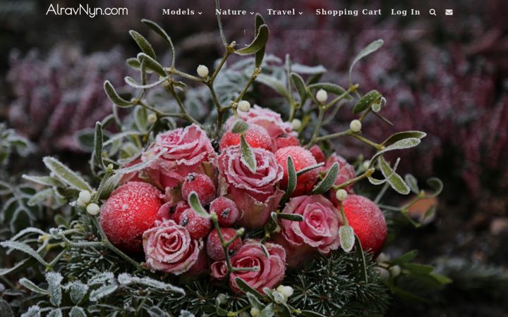 Captură de ecran a alravnyn.com