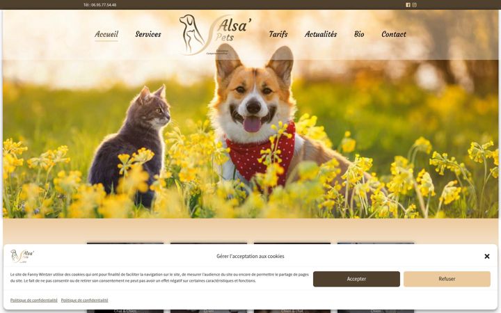 Zrzut ekranu alsa-pets.com