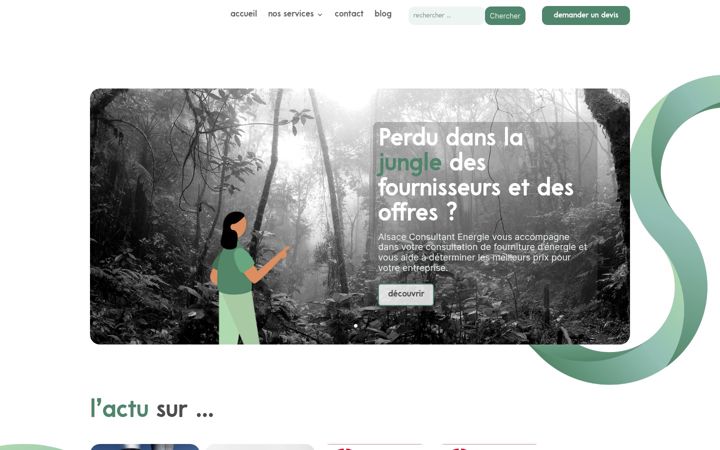 Screenshot von alsace-consultant-energie.fr
