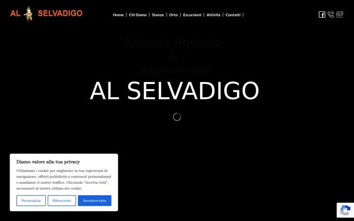 Zrzut ekranu alselvadigo.com