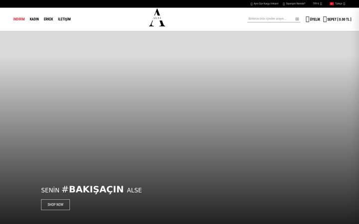 Snimka zaslona za alseonline.com.tr