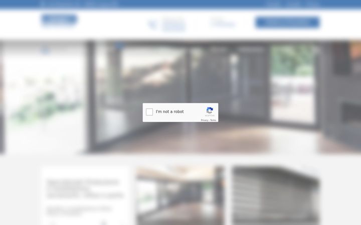 Screenshot of alserramenti.it