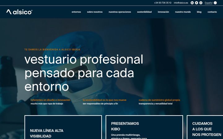 Screenshot of alsico.es