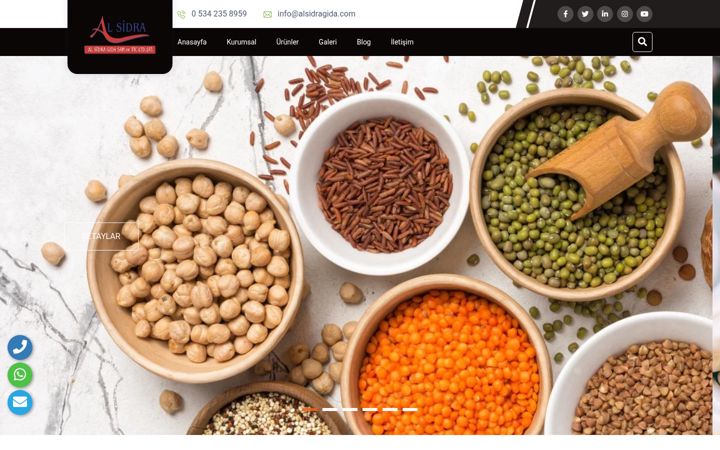 Screenshot of alsidragida.com