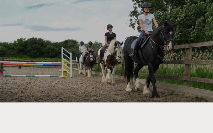 Screenshot of alstonecourt.co.uk