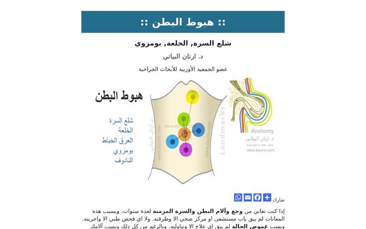 Screenshot of alsurra.com