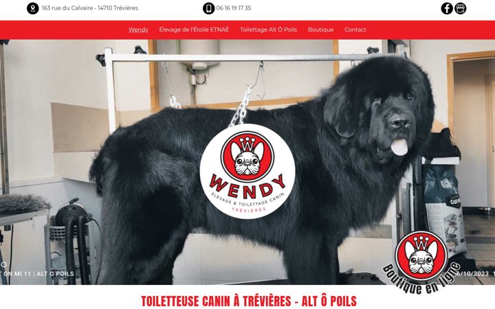 Screenshot of alt-opoils.fr