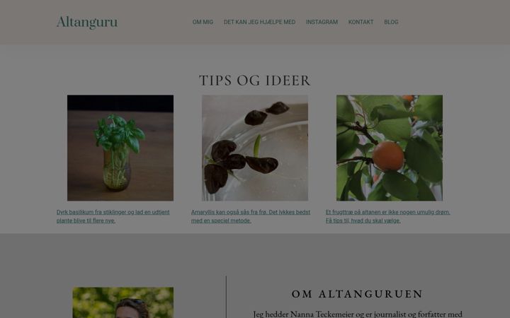 Screenshot of altanguru.dk