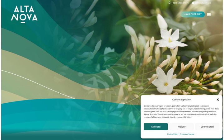Screenshot of altanova.nl