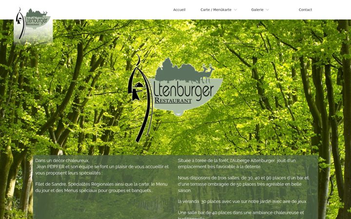 Screenshot of altenburger.fr