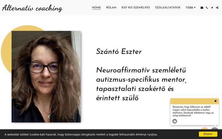 Screenshot of alternativcoaching.com