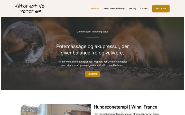 Screenshot of alternativepoter.dk