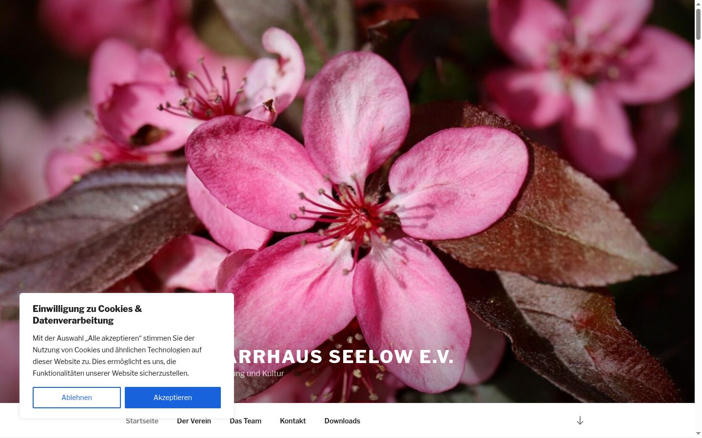 Sutikimo reklamjuostės, rodytos prieš bet kokią sąveiką, ekrano kopija
