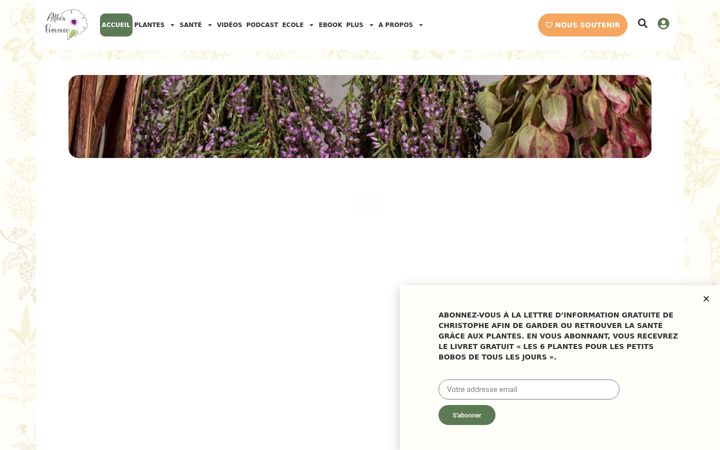 Screenshot von altheaprovence.com