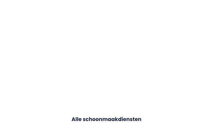 Screenshot of altijdschoon.nl