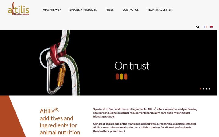 Screenshot of altilisna.com