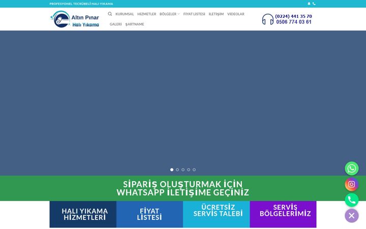 Képernyőkép: altinpinarhaliyikama.com
