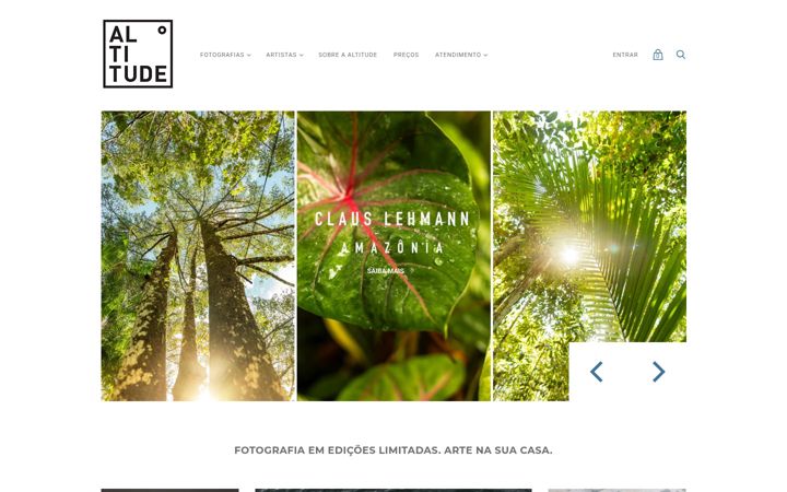 Screenshot of altitudegaleria.com